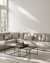 Module de canapé 2 places Beige N701