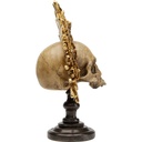 Objet décoratif King Skull