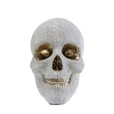 Tirelire Skull Crystal